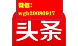湛江今日头条网友爆料,惊现神秘事件，真相令人震惊！